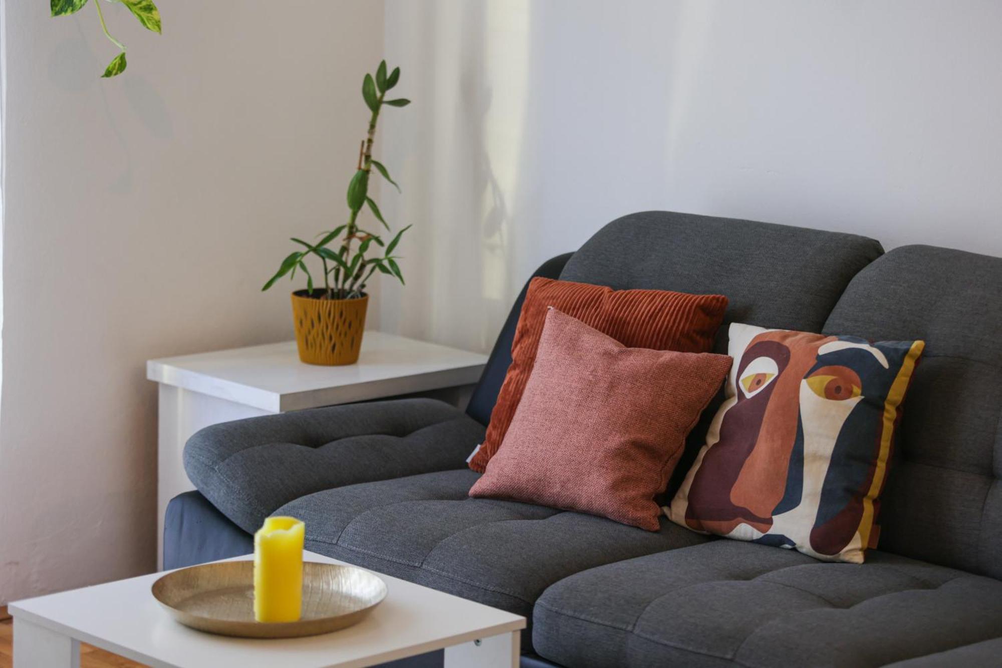 Apartment Mocire *
